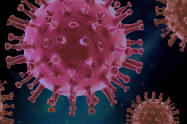 DEATH FROM COVID-19 CASES RISES IN THE U.S.: HEALTH CARE WORKERS PLEAD WITH PEOPLE TO OBEY COVID-19 REGULATIONS.